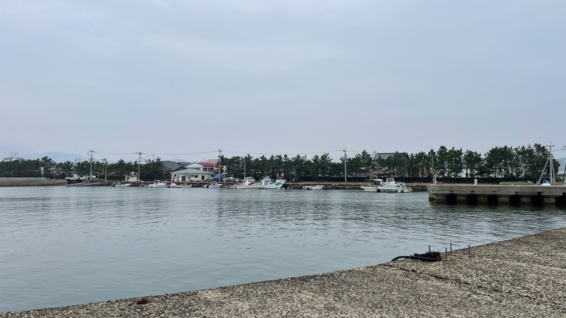 東唐津漁港